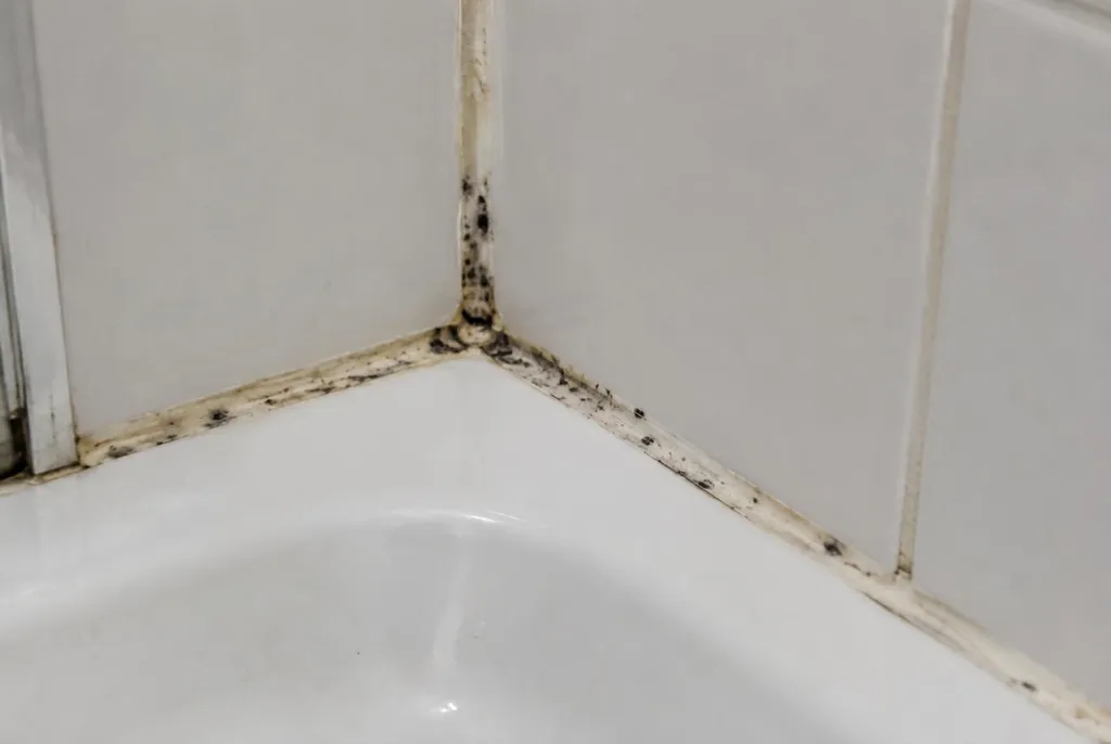 Kitbedrijf Boskoop – beschimmelde kitranden